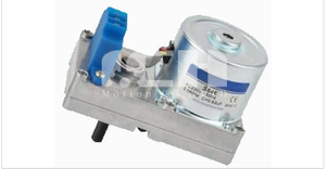 Paper Shredder AC Gear Motor With CE RoHS Certificate